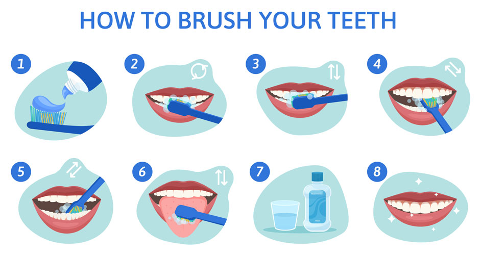 how to brush? technique to brush your teeth 